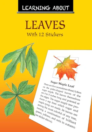 Learning About Leaves