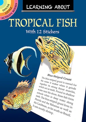 Learning About Tropical Fish